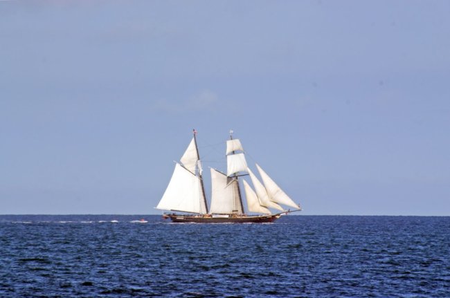 Carta O Navio O Mar baralho cigano