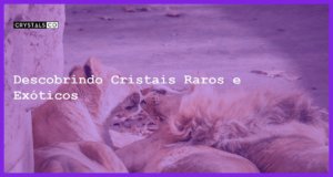 Descobrindo Cristais Raros e Exóticos - Cristais Raros e Exóticos