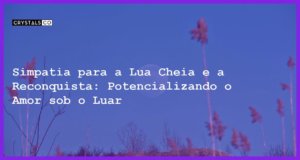 Simpatia para a Lua Cheia e a Reconquista: Potencializando o Amor sob o Luar - Simpatia PARA A LUA CHEIA E A RECONQUISTA