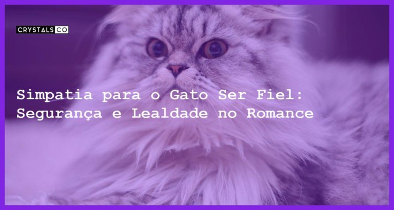 Simpatia para o Gato Ser Fiel: Segurança e Lealdade no Romance - Simpatia PARA O GATO SER FIEL