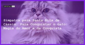 Simpatia para Santa Rita de Cássia: Para Conquistar o Gato: Magia do Amor e da Conquista - Simpatia PARA SANTA RITA DE CÁSSIA: PARA CONSEGUIR CONQUISTAR O GATO