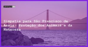 Simpatia para São Francisco de Assis: Proteção dos Animais e da Natureza - Simpatia PARA SÃO FRANCISCO DE ASSIS