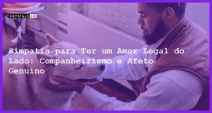 Simpatia para Ter um Amor Legal do Lado: Companheirismo e Afeto Genuíno - Simpatia PARA TER UM AMOR LEGAL DO LADO