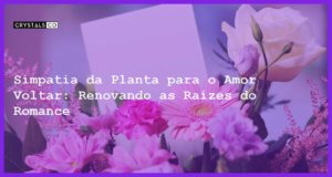 Simpatia da Planta para o Amor Voltar: Renovando as Raízes do Romance - Simpatia da planta para o amor voltar