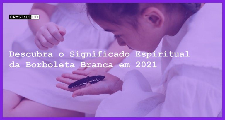 Descubra o Significado Espiritual da Borboleta Branca em 2021 - borboleta branca e seu significado espiritual