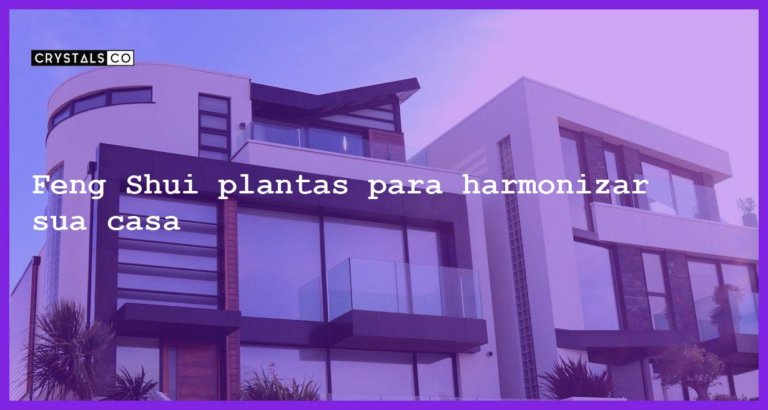 Feng Shui plantas para harmonizar sua casa - feng shui plantas casa