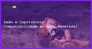 Leão e Capricórnio: Compatibilidade no Amor Revelada! - leao e capricornio