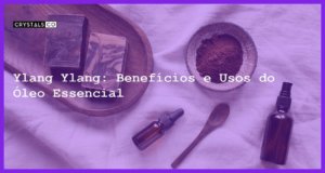 Ylang Ylang: Benefícios e Usos do Óleo Essencial - oleo essencial de ylang ylang