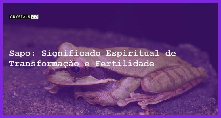 Sapo: Significado Espiritual de Transformação e Fertilidade - sapo significado espiritual