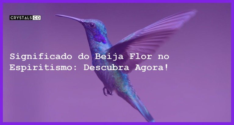 Significado do Beija Flor no Espiritismo: Descubra Agora! - significado do beija flor no espiritismo