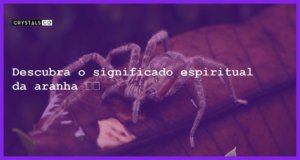 Descubra o significado espiritual da aranha 🕷️ - significado espiritual da aranha