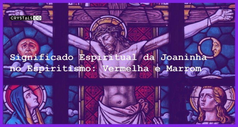 Significado Espiritual da Joaninha no Espiritismo: Vermelha e Marrom - significado espiritual joaninha espiritismo