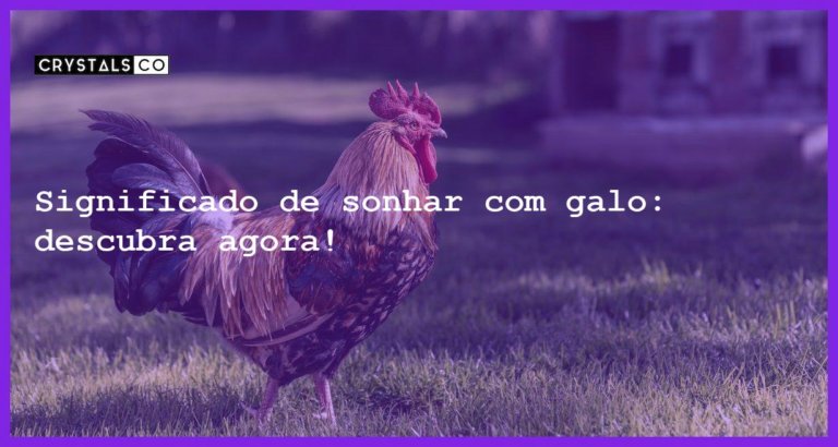 Significado de sonhar com galo: descubra agora! - significado sonhar galo