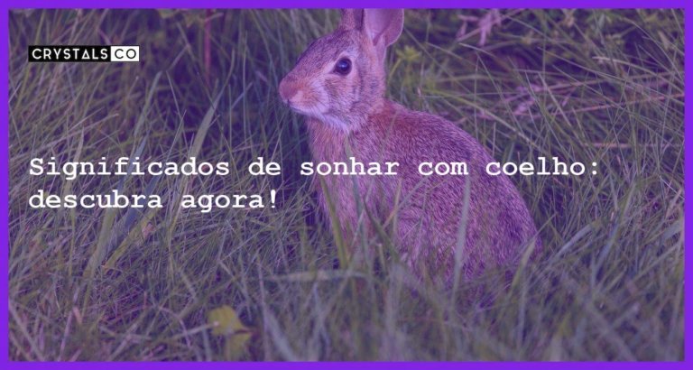 Significados de sonhar com coelho: descubra agora! - significados sonhar com coelho