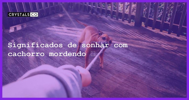 Significados de sonhar com cachorro mordendo 🐶 - sonhar cachorro mordendo