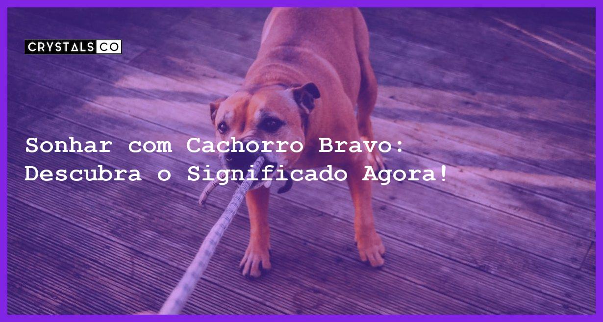 Sonhar com Cachorro Bravo: Descubra o Significado Agora! - sonhar com cachorro bravo