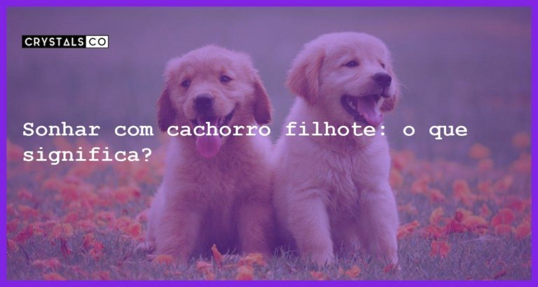 Sonhar com cachorro filhote: o que significa? - sonhar com cachorro filhote