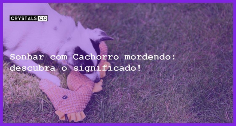 Sonhar com Cachorro mordendo: descubra o significado! - sonhar com cachorro mordendo