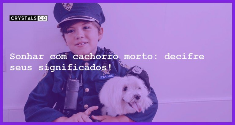 Sonhar com cachorro morto: decifre seus significados! - sonhar com cachorro morto