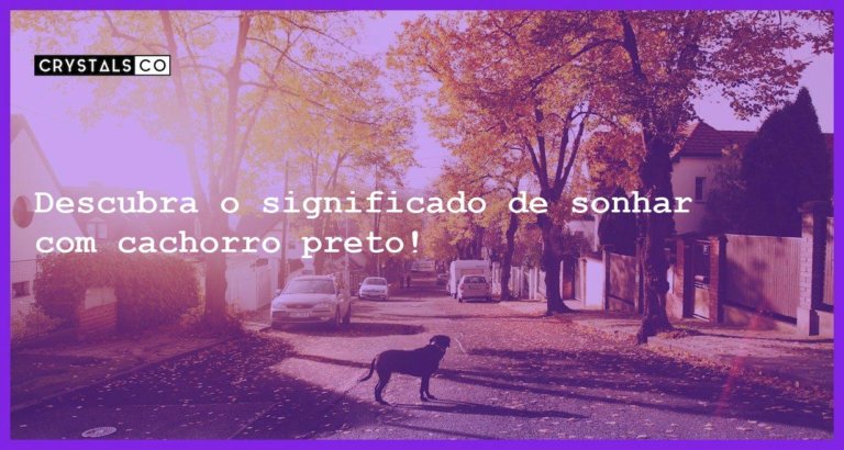 Descubra o significado de sonhar com cachorro preto! - sonhar com cachorro preto