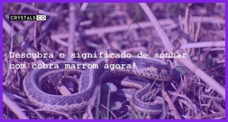 Descubra o significado de sonhar com cobra marrom agora! - sonhar com cobra marrom