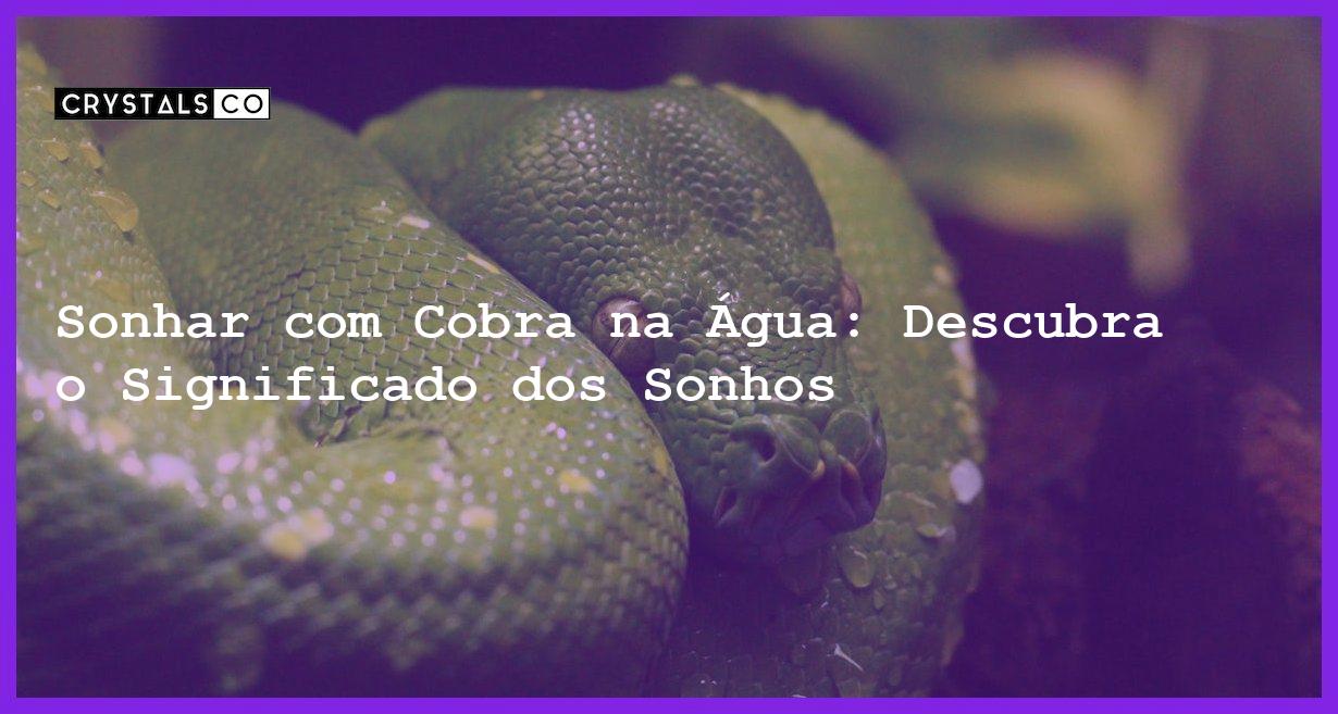 Sonhar com Cobra na Água: Descubra o Significado dos Sonhos - sonhar com cobra na agua