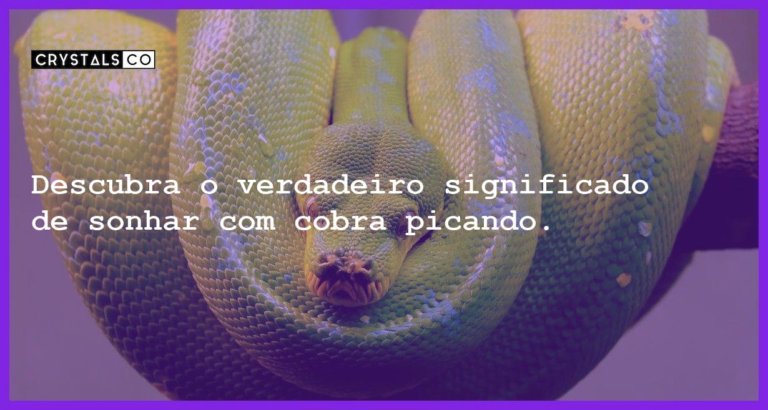 Descubra o verdadeiro significado de sonhar com cobra picando. - sonhar com cobra picando