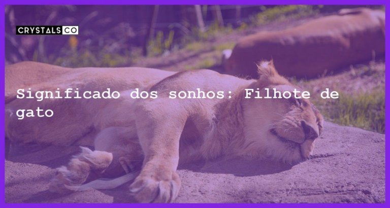 Significado dos sonhos: Filhote de gato - sonhar com filhote de gato