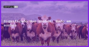 Significado dos sonhos: Gado em sonhos - sonhar com gado