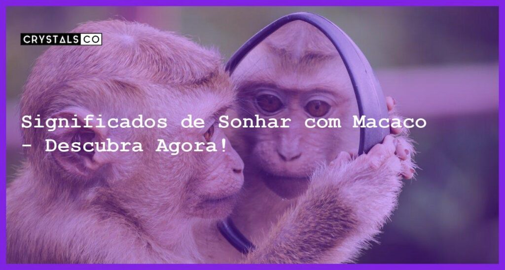 Significados de Sonhar com Macaco - Descubra Agora! - sonhar com macaco
