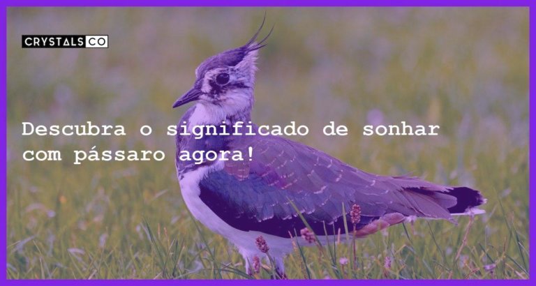 Descubra o significado de sonhar com pássaro agora! - sonhar com passaro