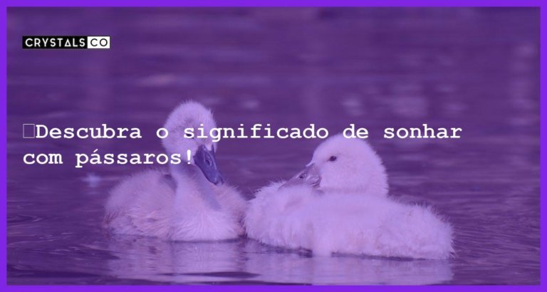 🦜Descubra o significado de sonhar com pássaros! - sonhar com passaros