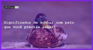 Significados de sonhar com pato que você precisa saber! - sonhar com pato