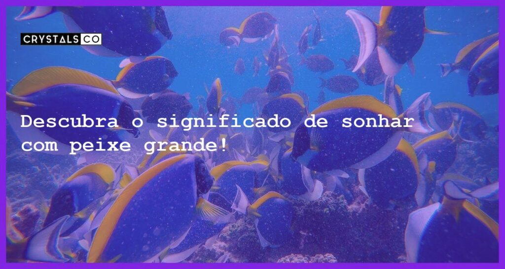 Descubra o significado de sonhar com peixe grande! - sonhar com peixe grande