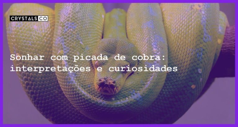 Sonhar com picada de cobra: interpretações e curiosidades - sonhar com picada cobra