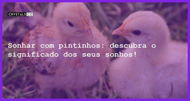 Sonhar com pintinhos: descubra o significado dos seus sonhos! - sonhar com pintinhos