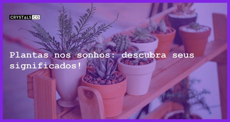 Plantas nos sonhos: descubra seus significados! - sonhar com plantas