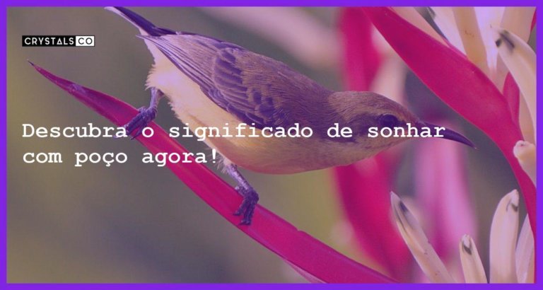 Descubra o significado de sonhar com poço agora! - sonhar com poco