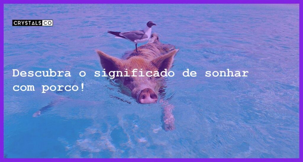 Descubra o significado de sonhar com porco! - sonhar com porco