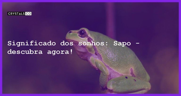 Significado dos sonhos: Sapo - descubra agora! - sonhar com sapo