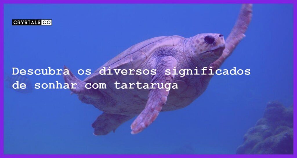 Descubra os diversos significados de sonhar com tartaruga - sonhar com tartaruga