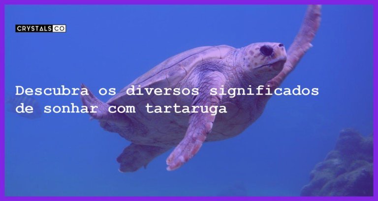 Descubra os diversos significados de sonhar com tartaruga - sonhar com tartaruga