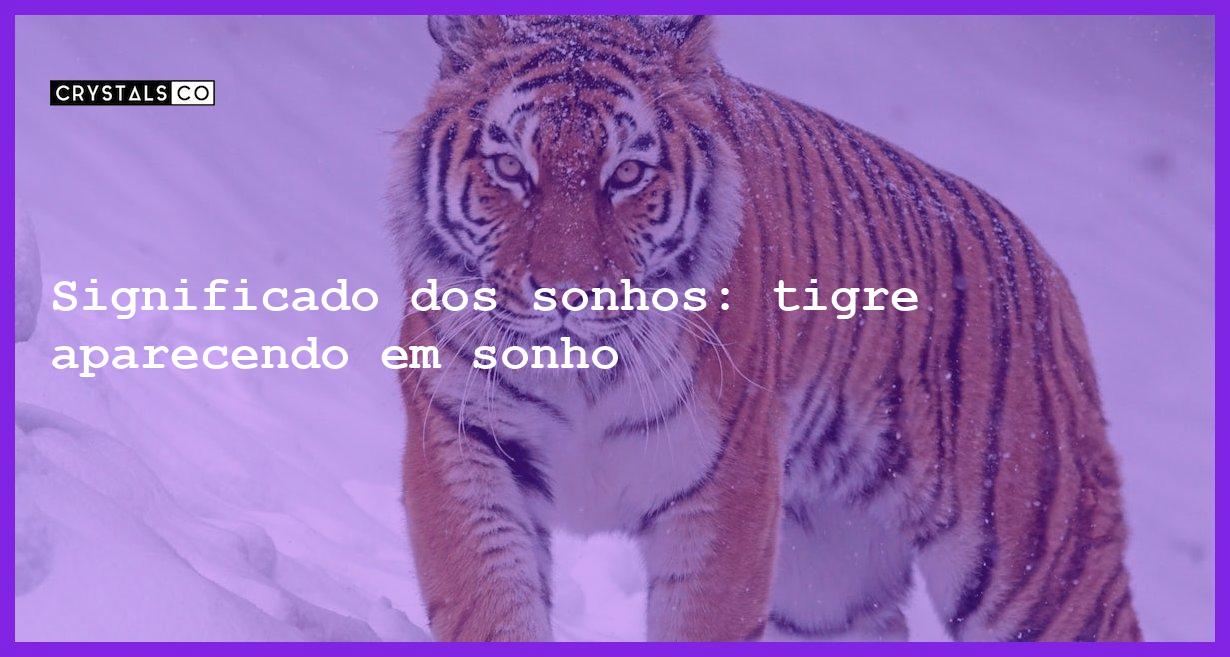 Significado dos sonhos: tigre aparecendo em sonho - sonhar com tigre
