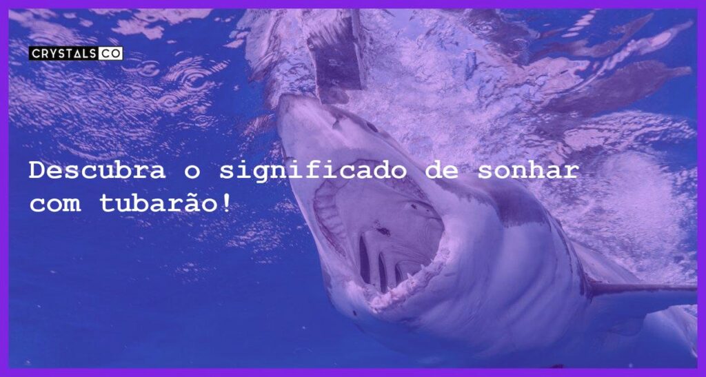Descubra o significado de sonhar com tubarão! - sonhar com tubarao