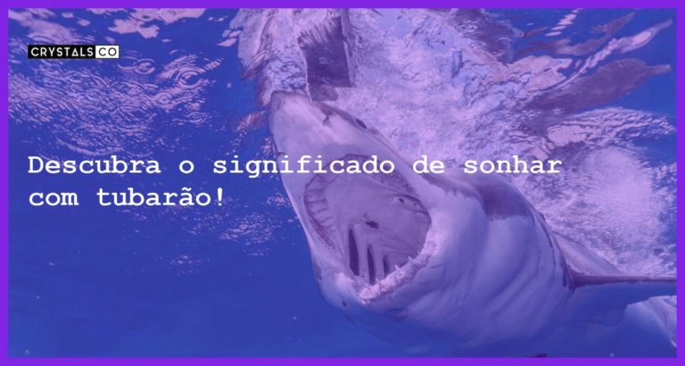 Descubra o significado de sonhar com tubarão! - sonhar com tubarao