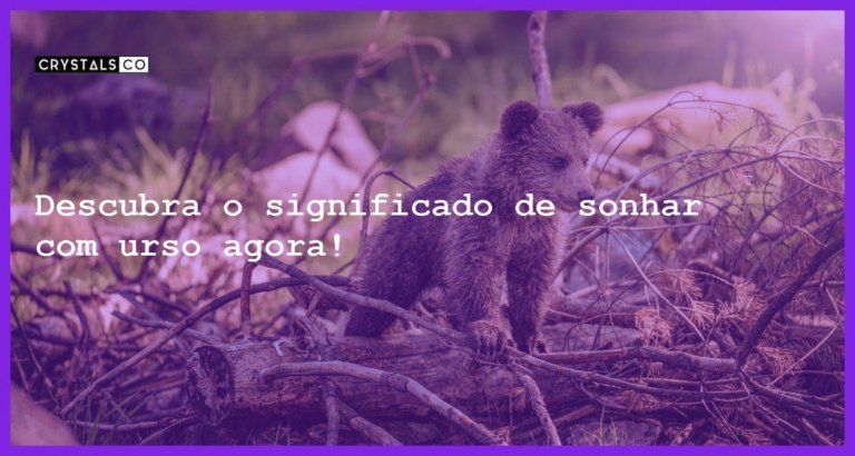 Descubra o significado de sonhar com urso agora! - sonhar com urso