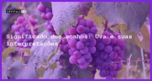 Significado dos sonhos: Uva e suas interpretações. - sonhar com uva