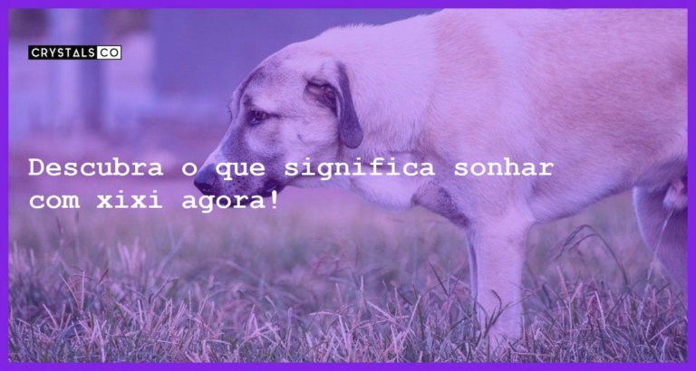 Descubra o que significa sonhar com xixi agora! - sonhar com xixi