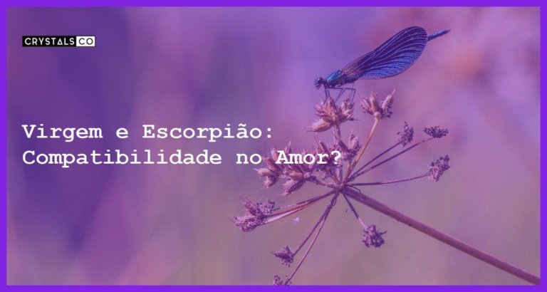 Virgem e Escorpião: Compatibilidade no Amor? - virgem e escorpiao